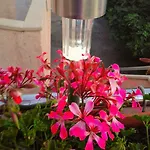 Trsina Apartament